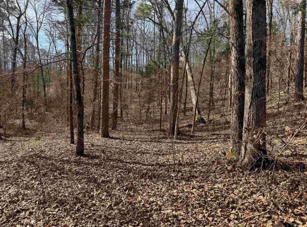 Peel Rd, Shirley, AR 72153