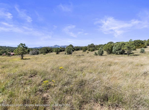 2B & 3A Hwy 220 lot: 2B & 3A, Alto, NM 88312