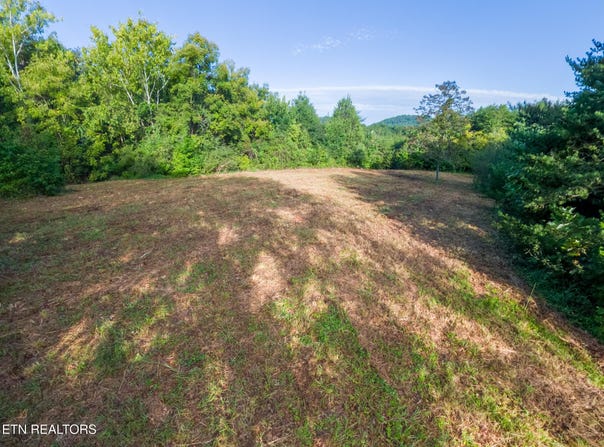 408 Shadden Rd, Tellico Plains, TN 37385