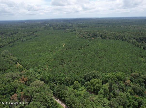 Smith County Road, Raleigh, MS 39153