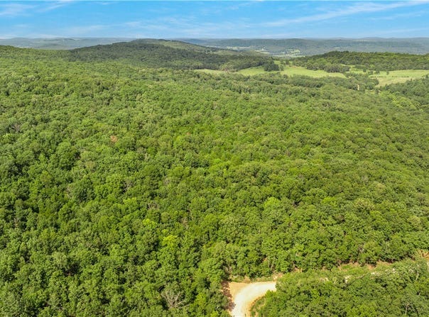 80 ac lot Madison 2750, Huntsville, AR 72740