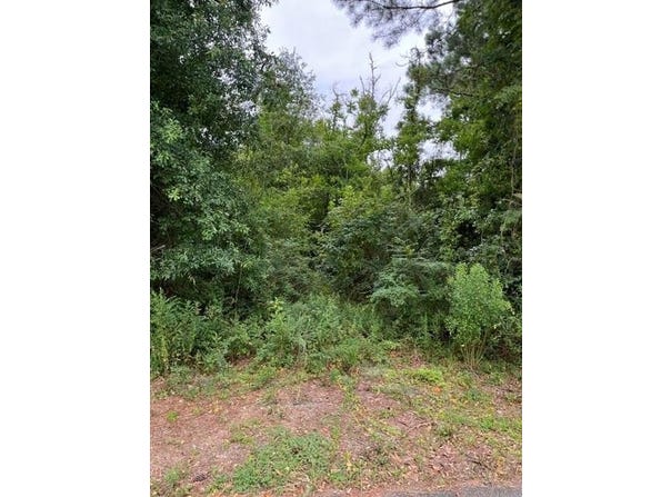 44064 HIGHWAY 445 lot: 1, Robert, LA 70455
