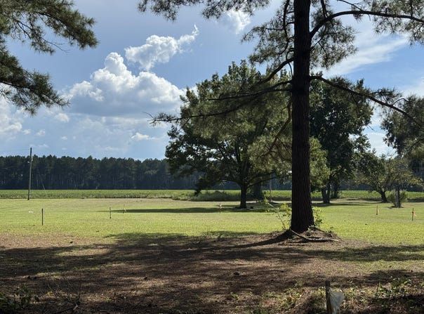 Caw Caw Swamp, Brunson, SC 29911