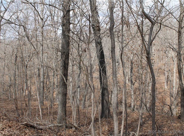 Tim Road, Edwards, MO 65326