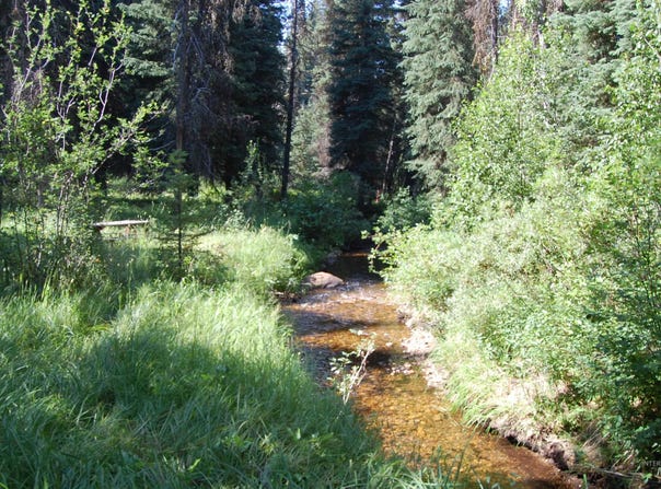 14074 B Morell Road, McCall, ID 83638