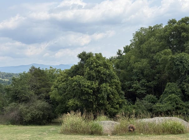 SCOTLAND Dr, Lexington, VA 24450