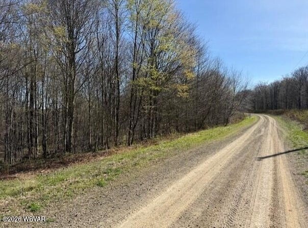 Parc 031 Glory Ridge Road, Shunk, PA 17768