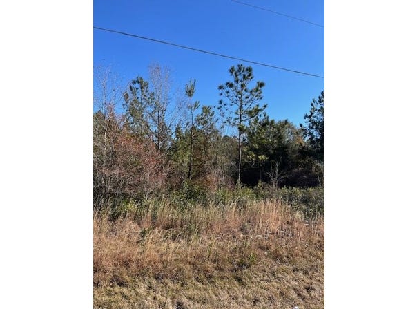 Locklier Drive, Homerville, GA 31634