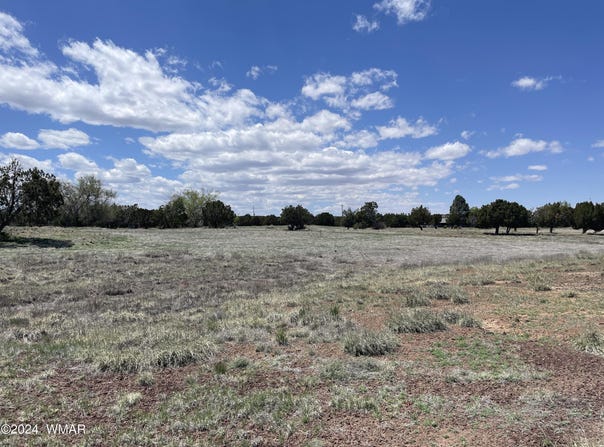 18 Pate Lane, Concho, AZ 85924