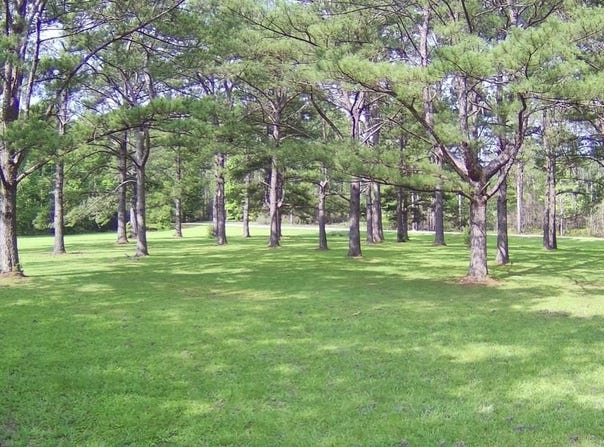 Thompson Lane, Carriere, MS 39426