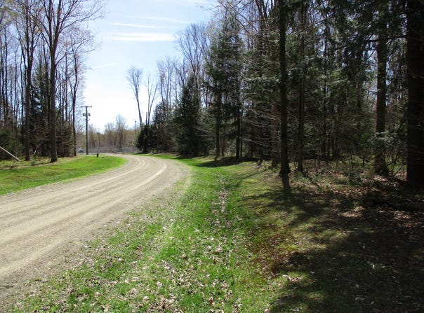 Peach Drive, Cyclone, PA 16726
