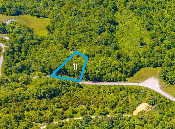 Saddleridge Drive lot: 11, Speedwell, TN 37870