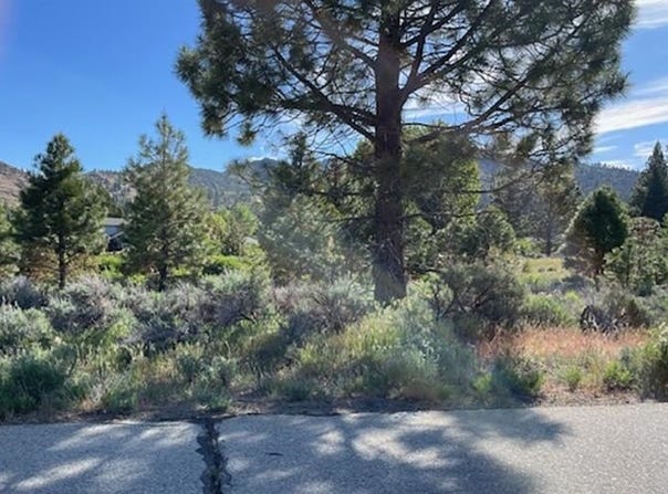 556 Longhorn Drive, Loyalton, CA 96118