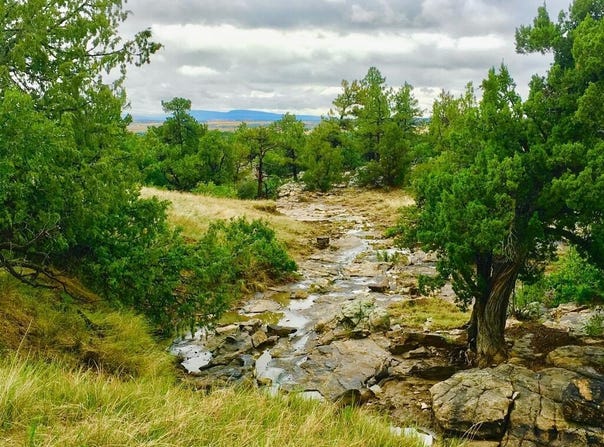 Pickney Rd, Rye, CO 81069