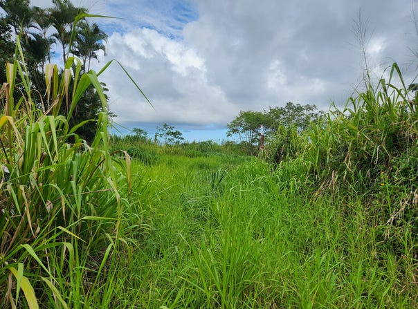 Kurtistown, HI 96760