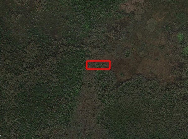 Holopaw Groves Road, St. Cloud, FL 34772