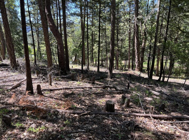 00347 Flounce Rock Rd, Prospect, OR 97536