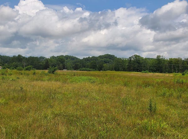 Plantation Drive, Elkins, WV 26241