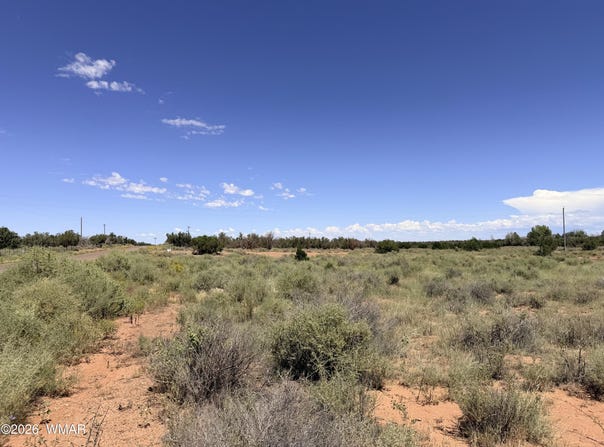 4578 Clear Pass Trail, Snowflake, AZ 85937