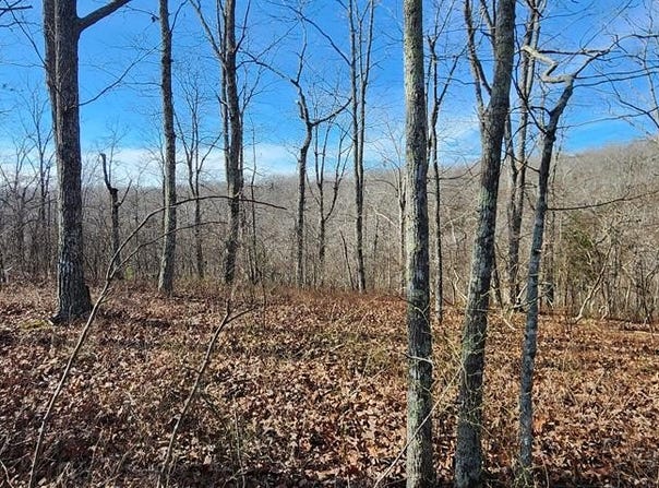 id 14 OVERLOOK DR, HOLLADAY, TN 38341