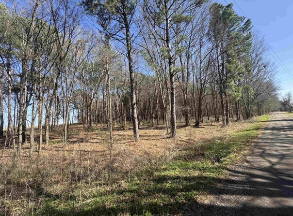 CR 4310 & 4313, Pittsburg, TX 75686