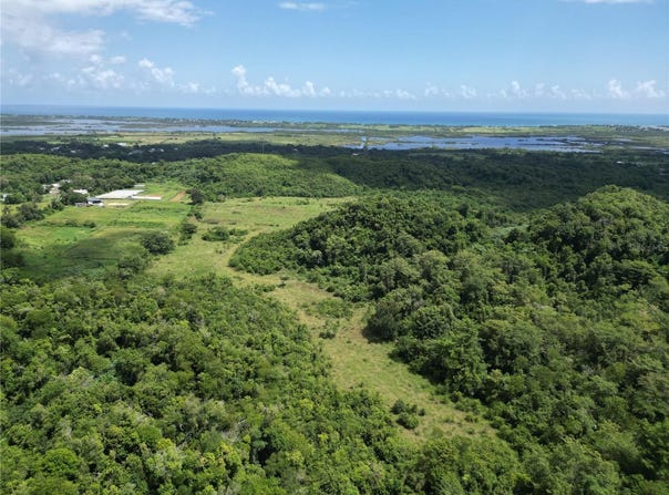 Pr 682 Km 6.5 Int GARROCHALES WARD, ARECIBO, 00612