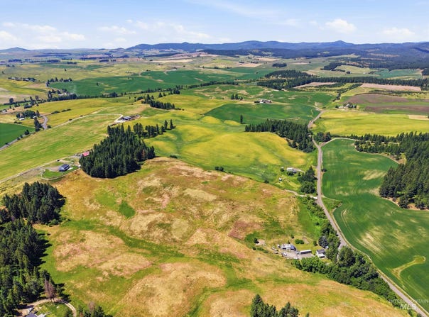 Reynolds, Princeton, ID 83857