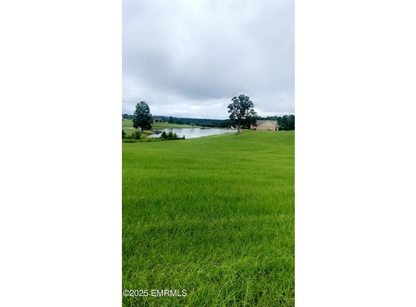 26 Lakeview Drive, Union, MS 39365