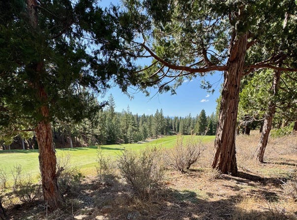 202 Morning Star lot: 368, Portola, CA 96122