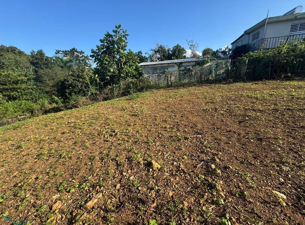 Arecibo, Arecibo, PR 00612
