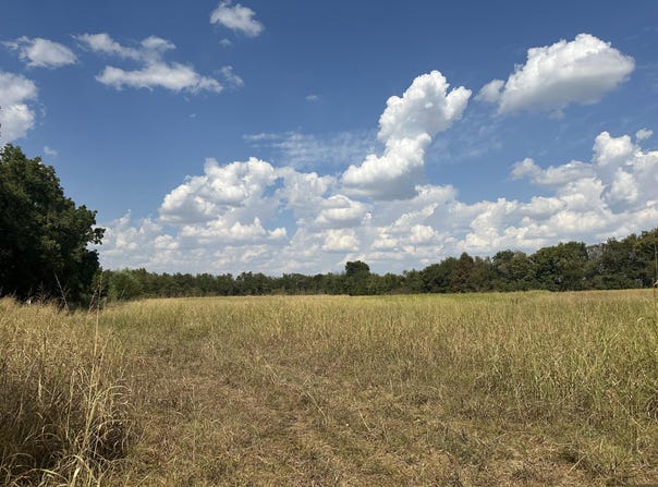 1429 Granby Miners Road, Granby, MO 64844