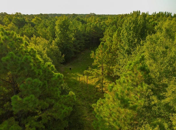 1763 FM 2118, Bagwell, TX 75412