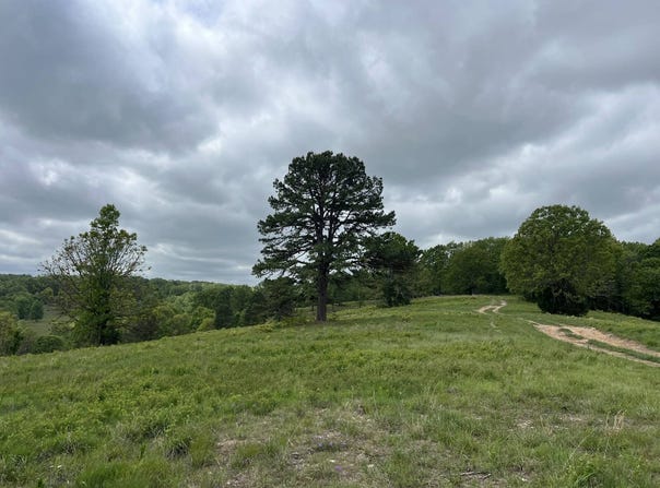 Co Rd 321 Route 5, Ava, MO 65608