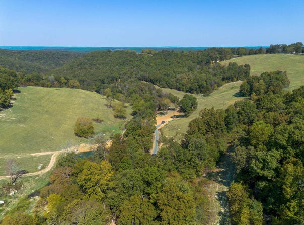79.50 ac. (+/-) Crochet Road, Marshall, AR 72650