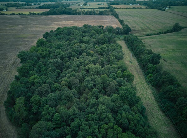 Herl Road, Bronson, MI 49028