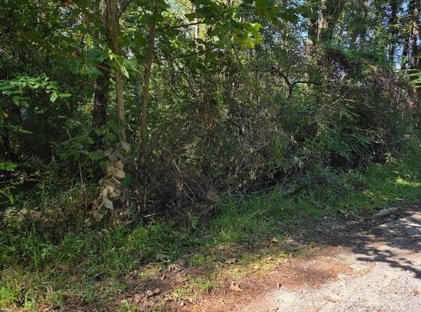 Berwick St., Vidor, TX 77662
