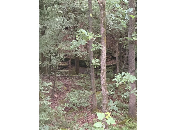 1070 Brewer Road, Edgemont, AR 72044-9999
