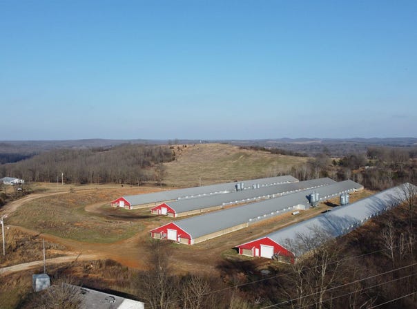 498 Lawrence 100, Ravenden, AR 72459-9999