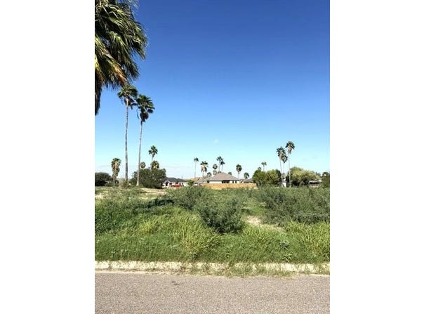 1933 Meadow Way Drive, Mission, TX 78572