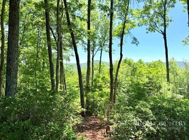 Davis Acres lot: 48 & 49, West Jefferson, NC 28694