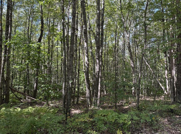L 35-3 Jones Hill Road, Appleton, ME 04862