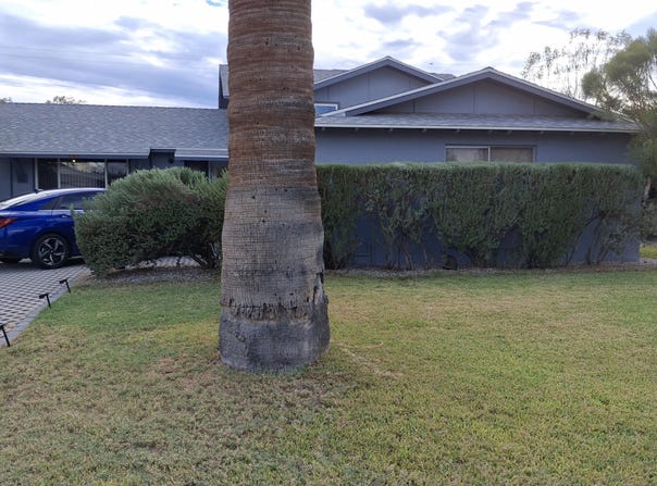 643 E WESLEYAN Drive, Tempe, AZ 85282