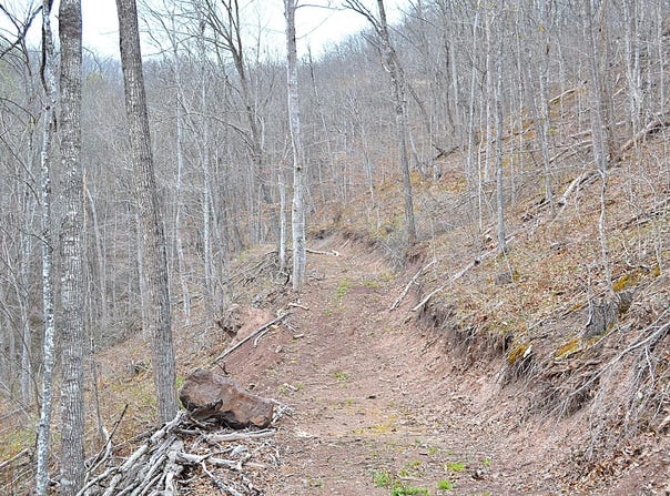 Snake Run Rd, Dawson, WV 24910