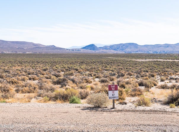 87 Wild Poppy Court, Smith Valley, NV 89430