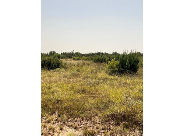 FM 1929, Paint Rock, TX 76866