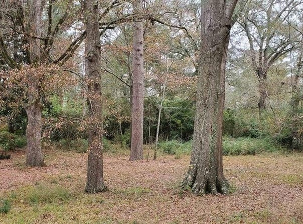 JESSAMINE STREET, Ruston, LA 71270