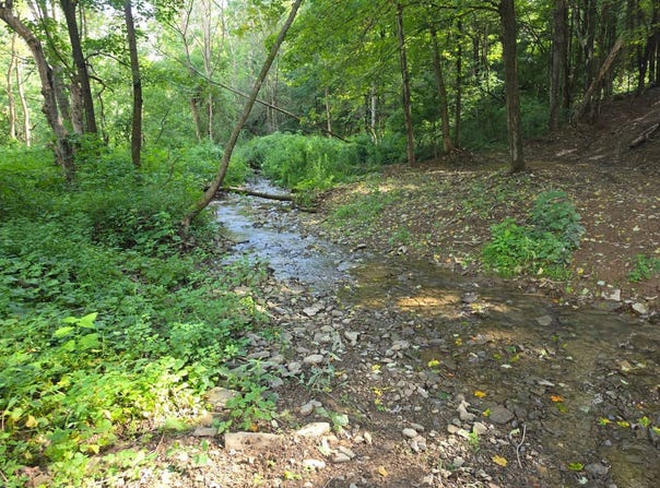1WP Route 221, Lapeer, NY 13803