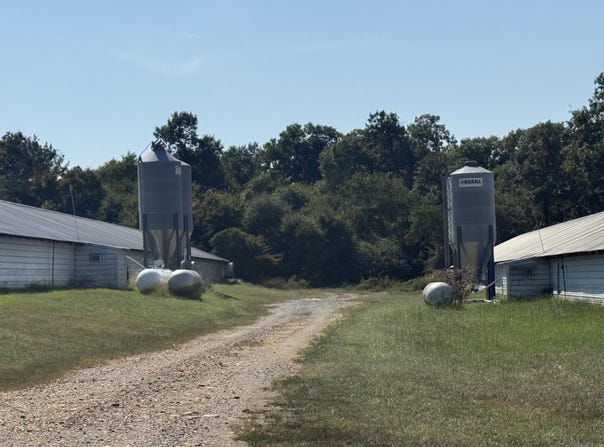 Polk Road 31, Hatfield, AR 71945