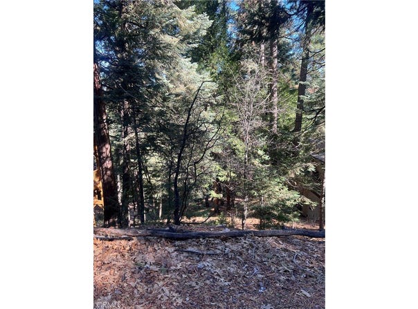 Forest, Twin Peaks, CA 02391