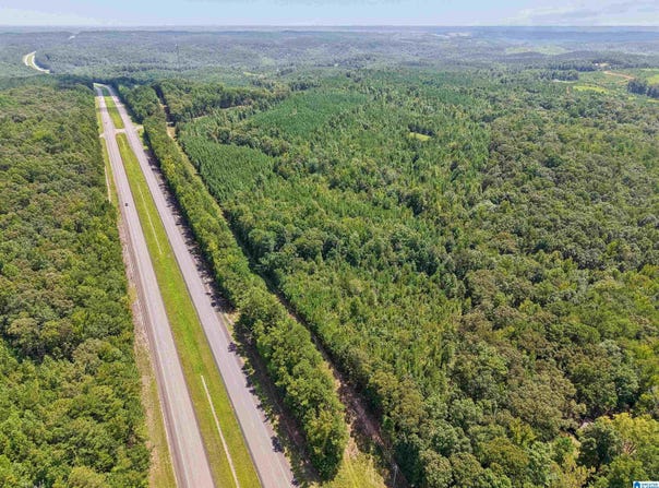 2387 COUNTY ROAD 131 lot: 2387, GOODWATER, AL 35072